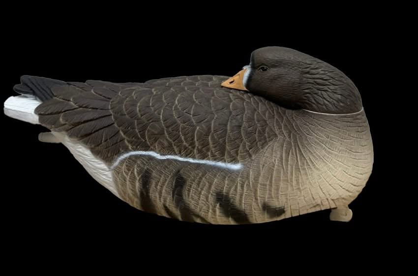 Light’N’Load ‘Dark Side’ Specklebelly Floater Decoys (6 Pack)