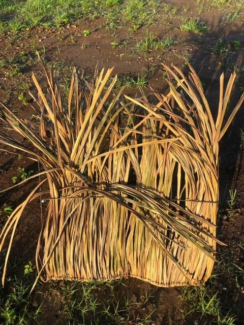 (2 Pack) 24"x33" BlindGrass Synthetic EZ Weave Panels