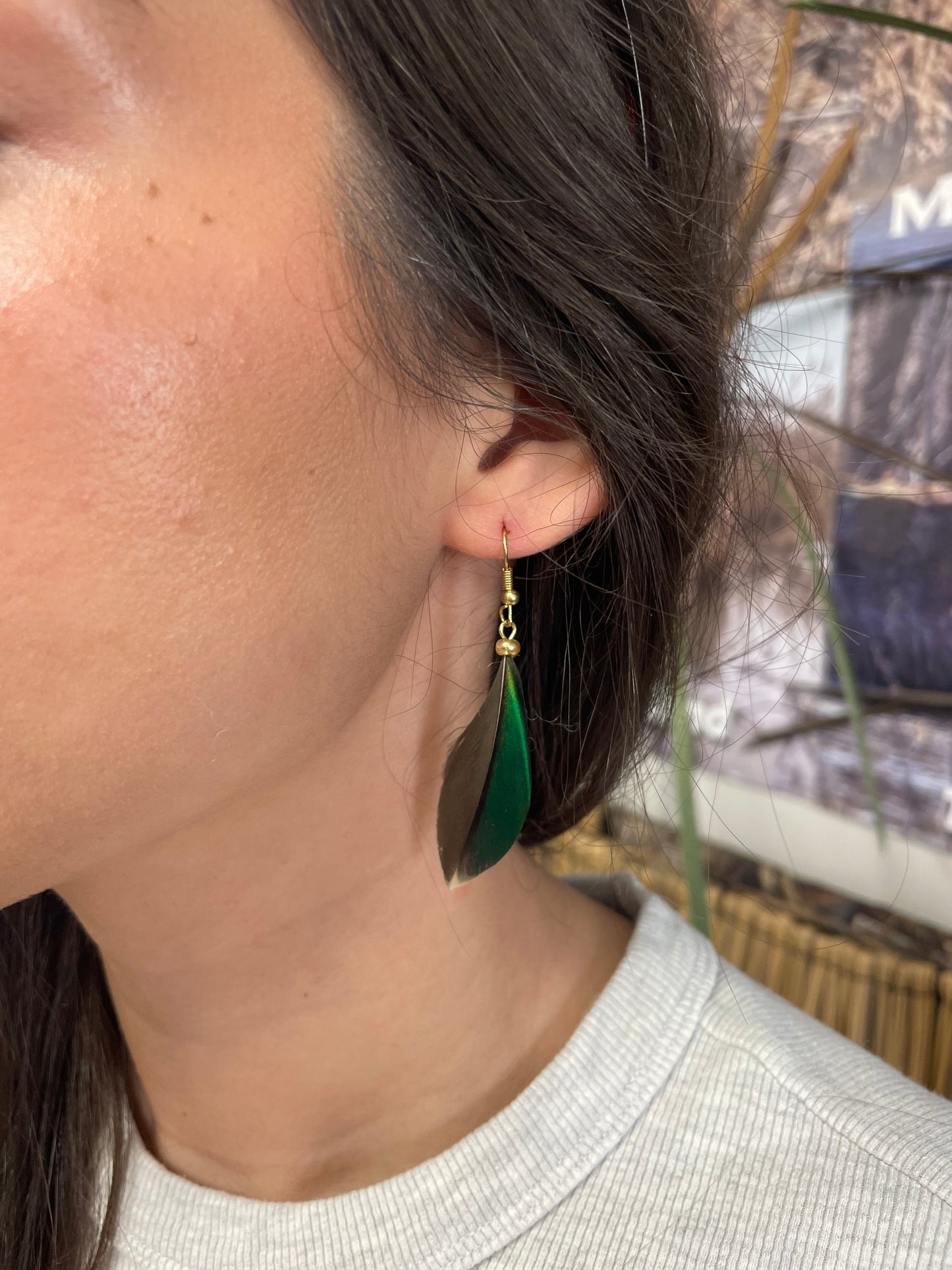 Green-Winged Teal Feather Earrings by Dakota Feather Creations