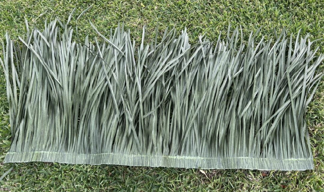 (4 Pack) 4'x2' Fully Synthetic SaltGrass/MarshGrass Panels