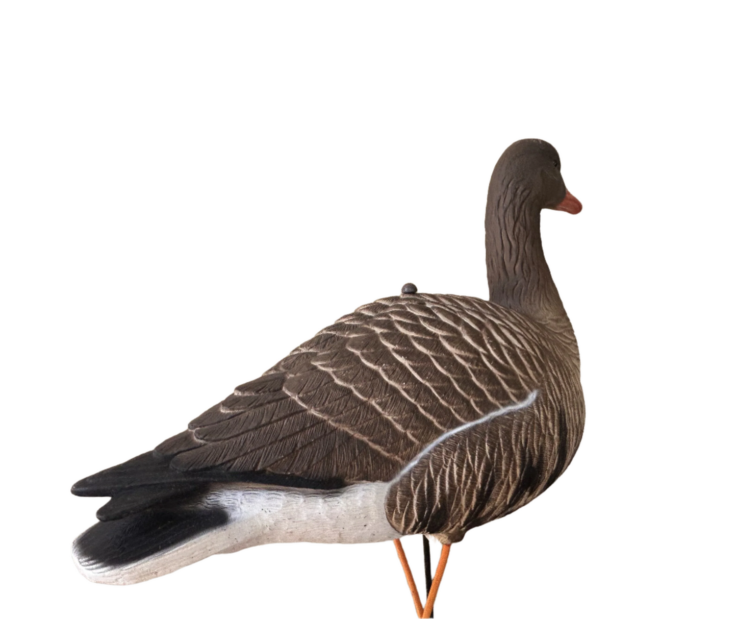 Light’N’Load ‘Dark Side’ Specklebelly Decoys (12 Pack)