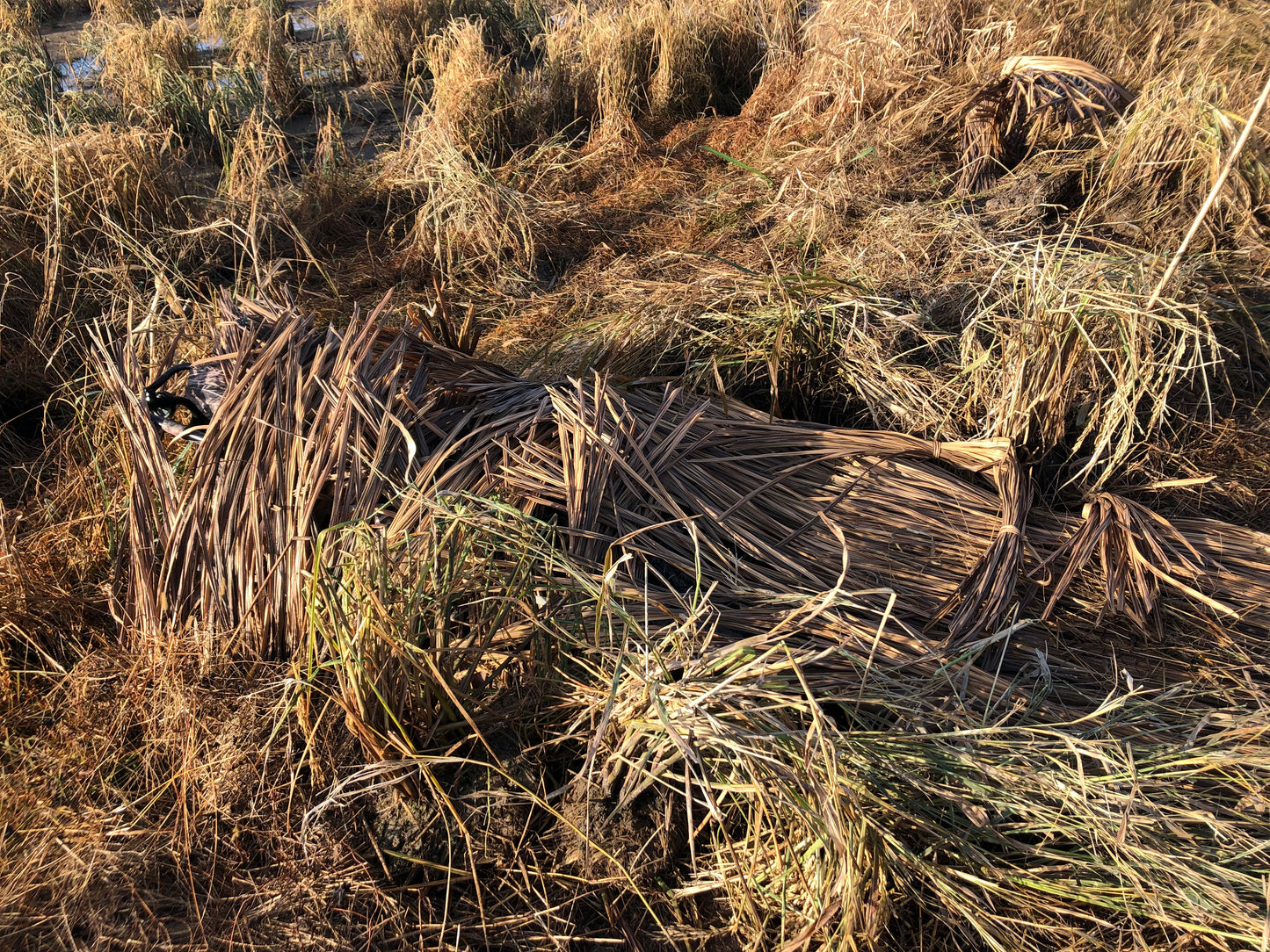 Layout Blind Kit CURRENTLY OUT OF STOCK OF FALLBLEND MATS UNTIL LATE OCTOBER