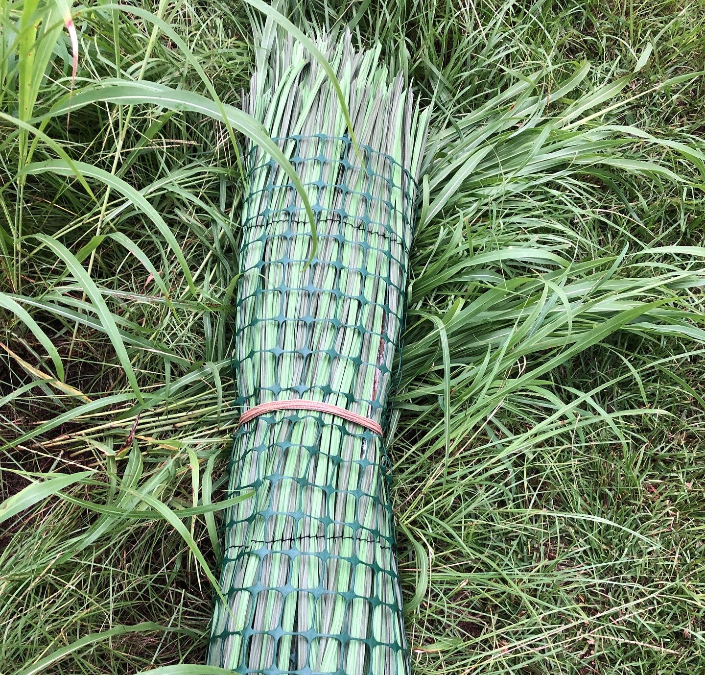Custom Roll n Geaux Teal Blind Kit