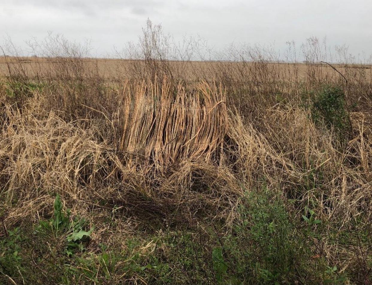 Custom Roll n Geaux Blind Kit CURRENTLY OUT OF STOCK OF FALLBLEND MATS UNTIL LATE OCTOBER