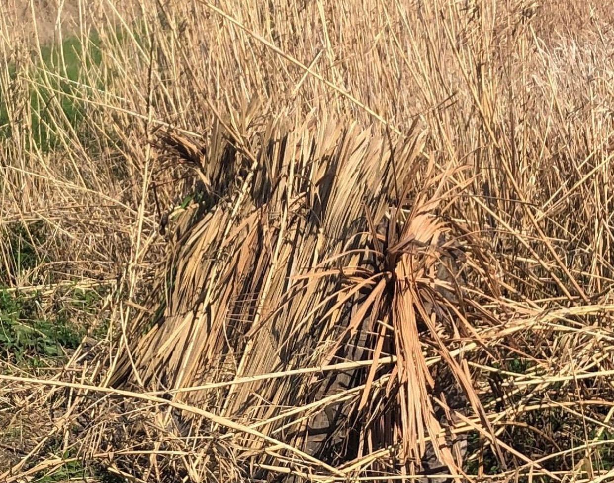 8' Panel/A-Frame Camouflage Blind Kit (FallBlend and Rice are currently out of stock)