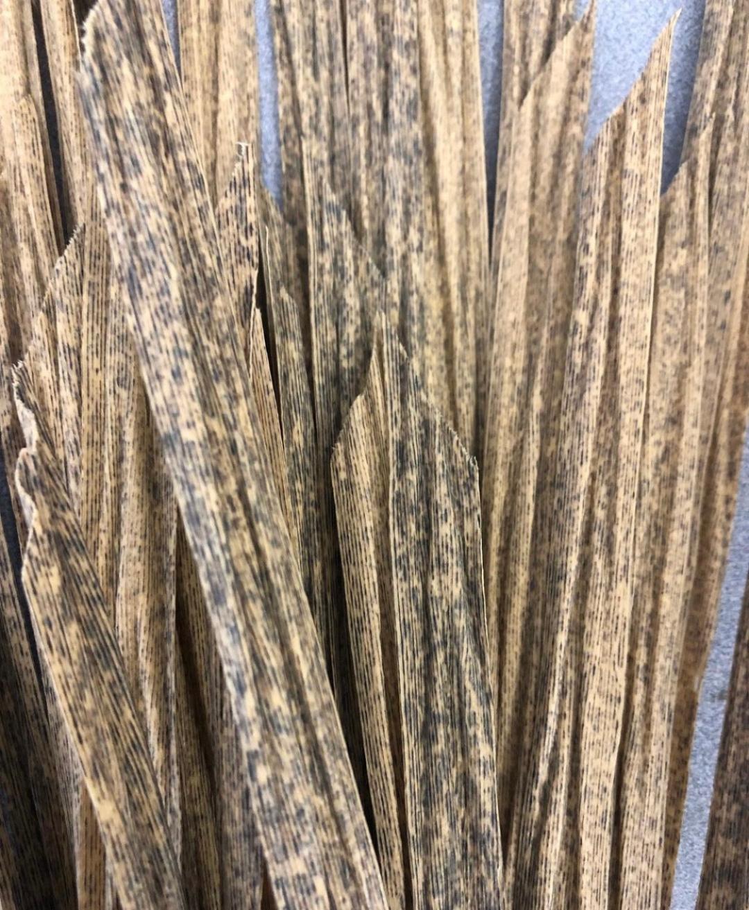 (4 Pack) 24”x48" BlindGrass Synthetic Mats CURRENTLY OUT OF STOCK OF FALLBLEND MATS UNTIL LATE OCTOBER