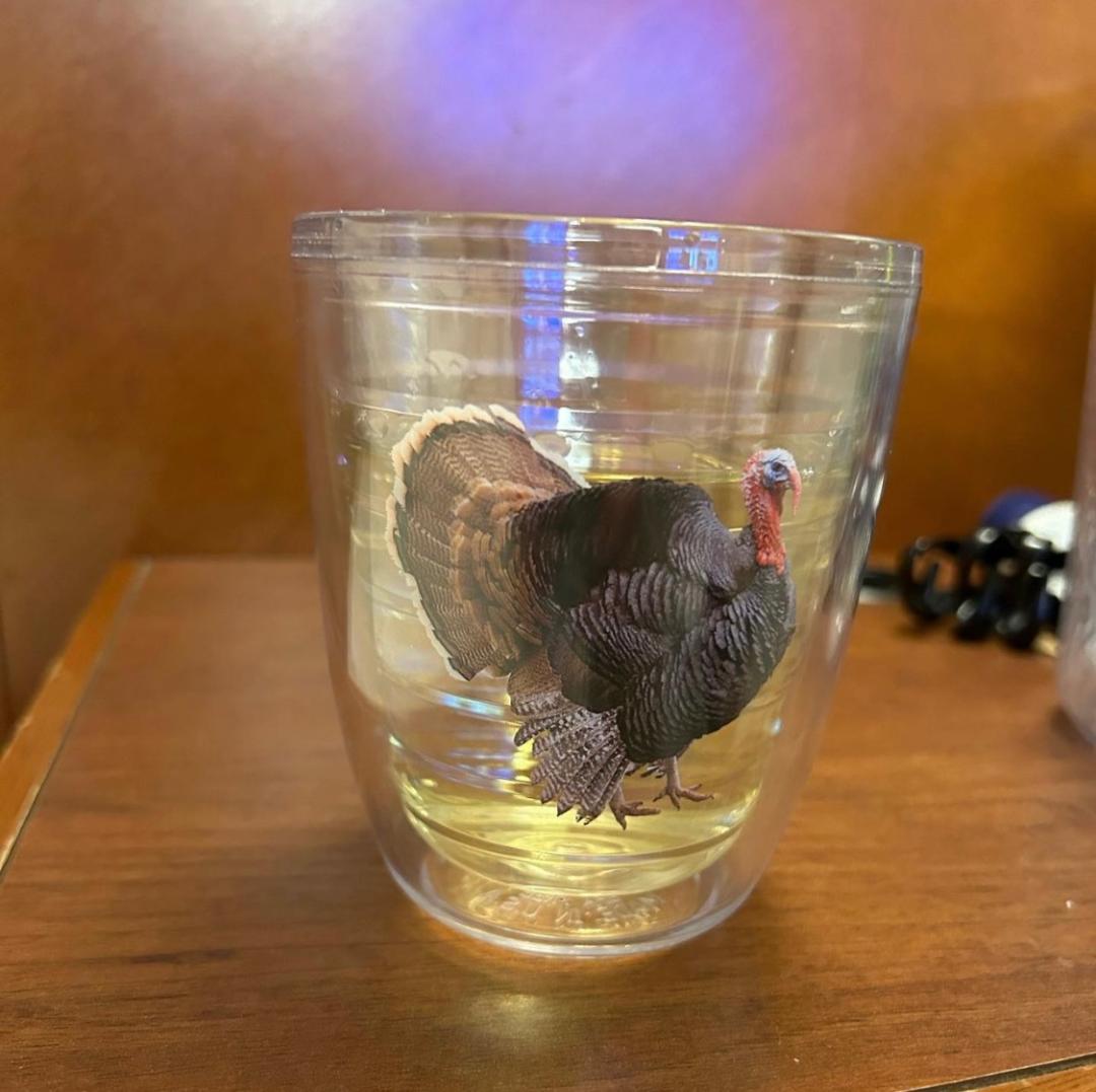 Made in USA, Double-Walled, 12 oz. Tumbler (Free Shipping)