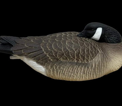 Light’N’Load Full-body Canada Geese Floater Decoys (6 Pack)