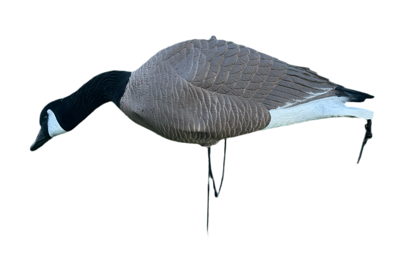 Light’N’Load Full-body Canada Geese Decoys with Flocked Head (12 Pack)