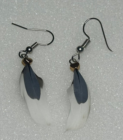 Blue-Winged Teal Feather Earrings by Dakota Feather Creations