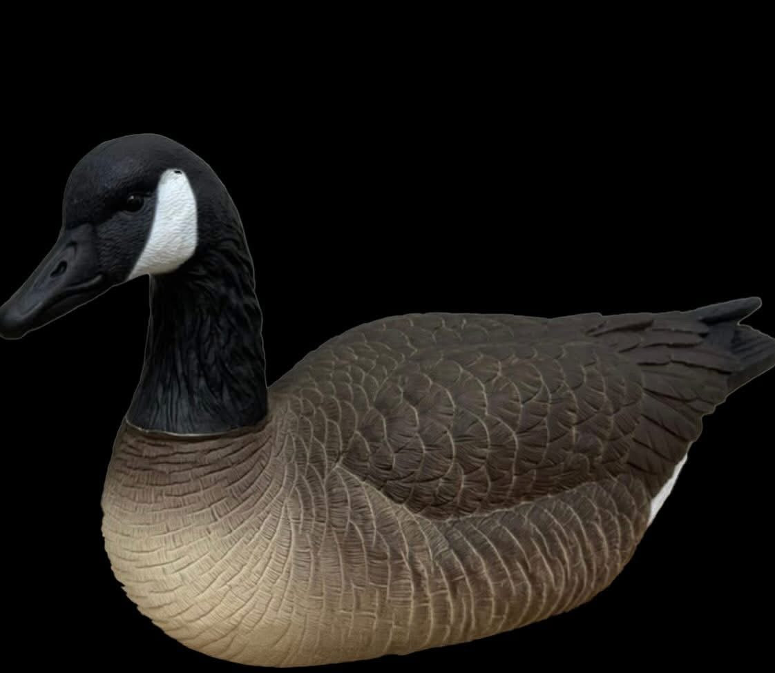 Light’N’Load Full-body Canada Geese Floater Decoys (6 Pack)