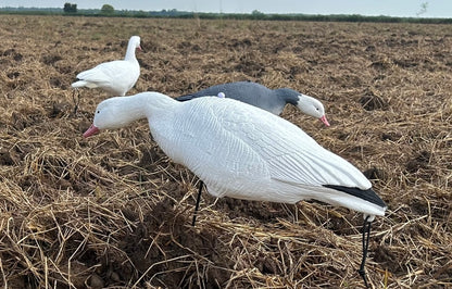 Light’N’Load Snow Geese Decoys (12 Pack)