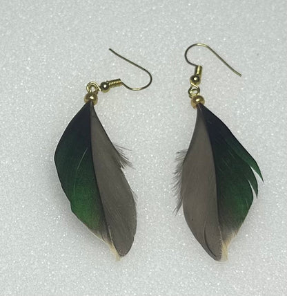Green-Winged Teal Feather Earrings by Dakota Feather Creations