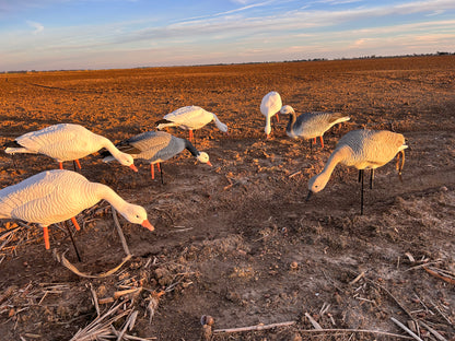 Light’N’Load Snow Goose Pro Pack Decoys (12 Pack)