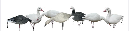 Light’N’Load Snow Goose Pro Pack Decoys (12 Pack)