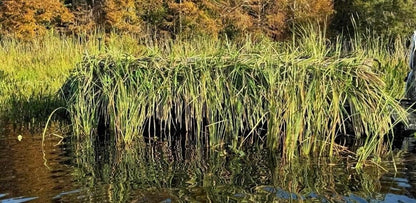 Custom Length Synthetic BlindGrass Boat Blind Camo Kit (per side)