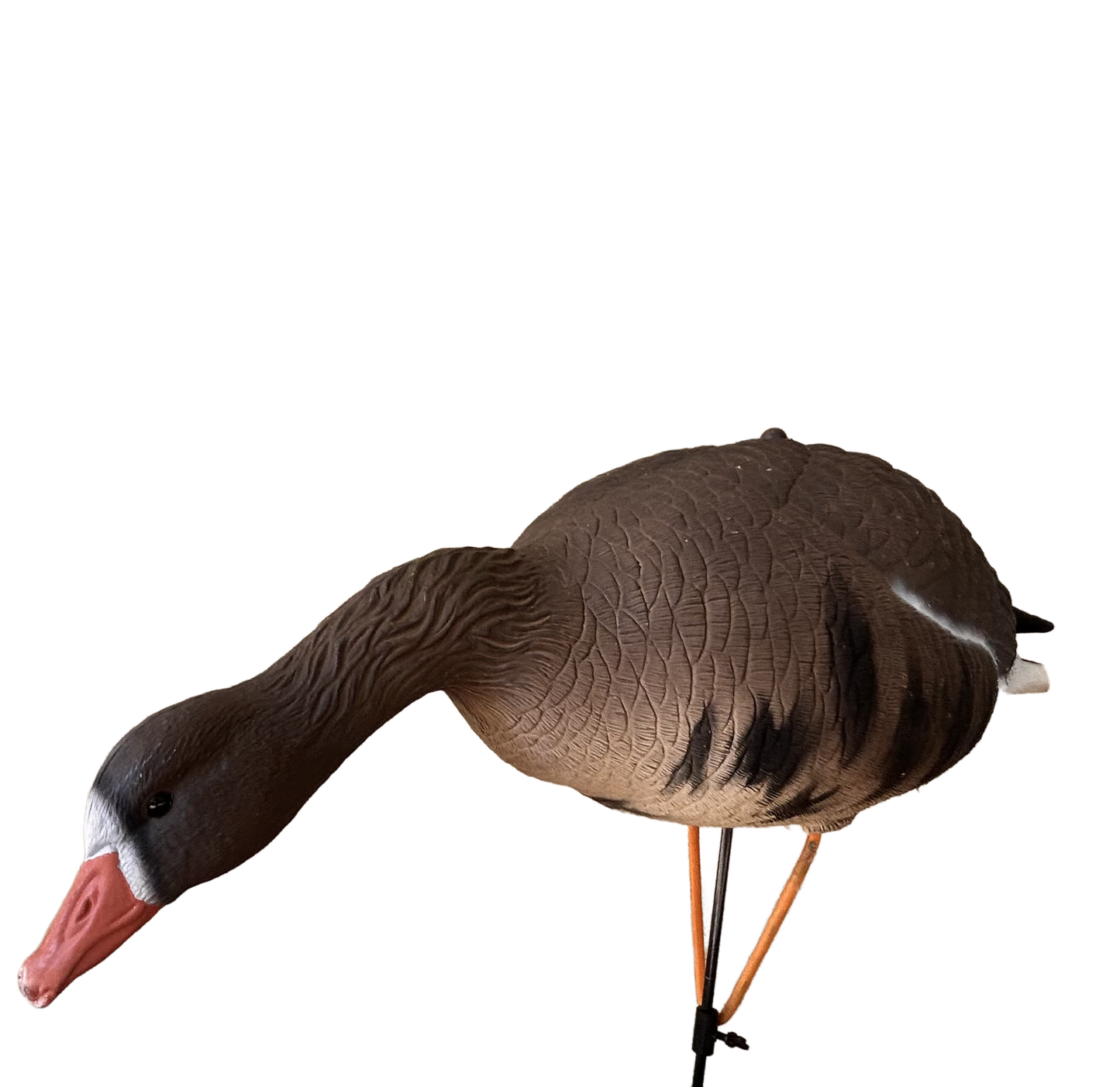 Early Black Friday Sale Light’N’Load Specklebelly Decoys (12 Pack)