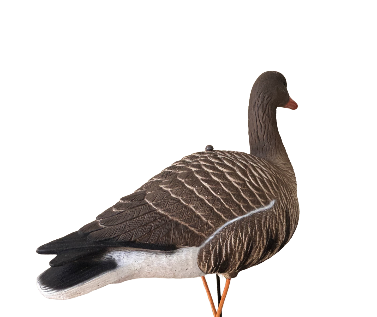 Early Black Friday Sale Light’N’Load Specklebelly Decoys (12 Pack)