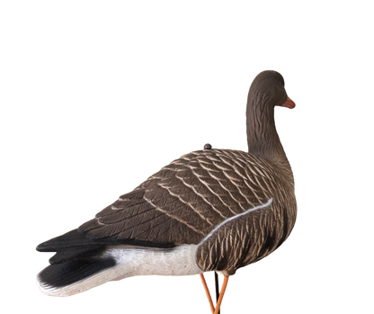 Light’N’Load ‘Dark Side’ Specklebelly Decoys (12 Pack)