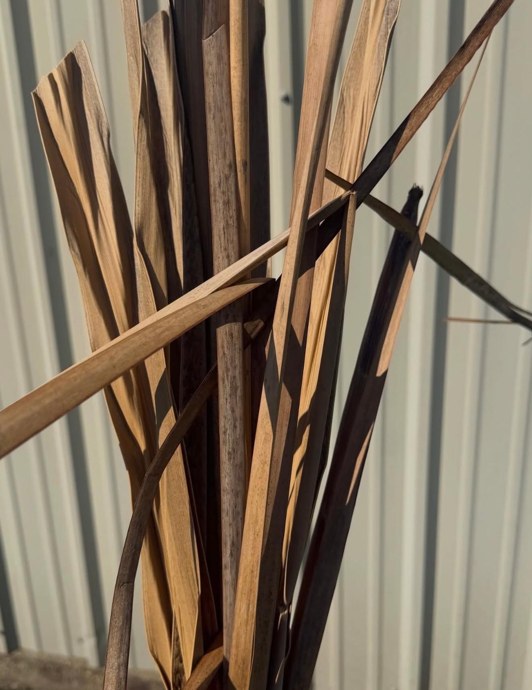 Illusion Synthetic Illusion BundleGrass