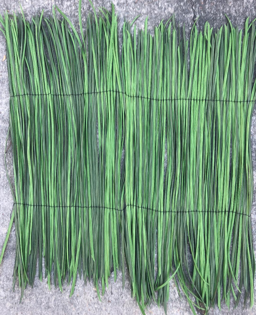 HUB grass (Helping U Blend)--100% raffia grass