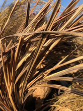 Load image into Gallery viewer, 20 lbs. Synthetic BundleGrass (Rice/Corn/JohnsonGrass and FallBlend are currently out of stock--please see below.)
