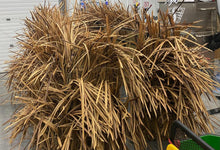 Load image into Gallery viewer, 20 lbs. Synthetic BundleGrass (Rice/Corn/JohnsonGrass and FallBlend are currently out of stock--please see below.)