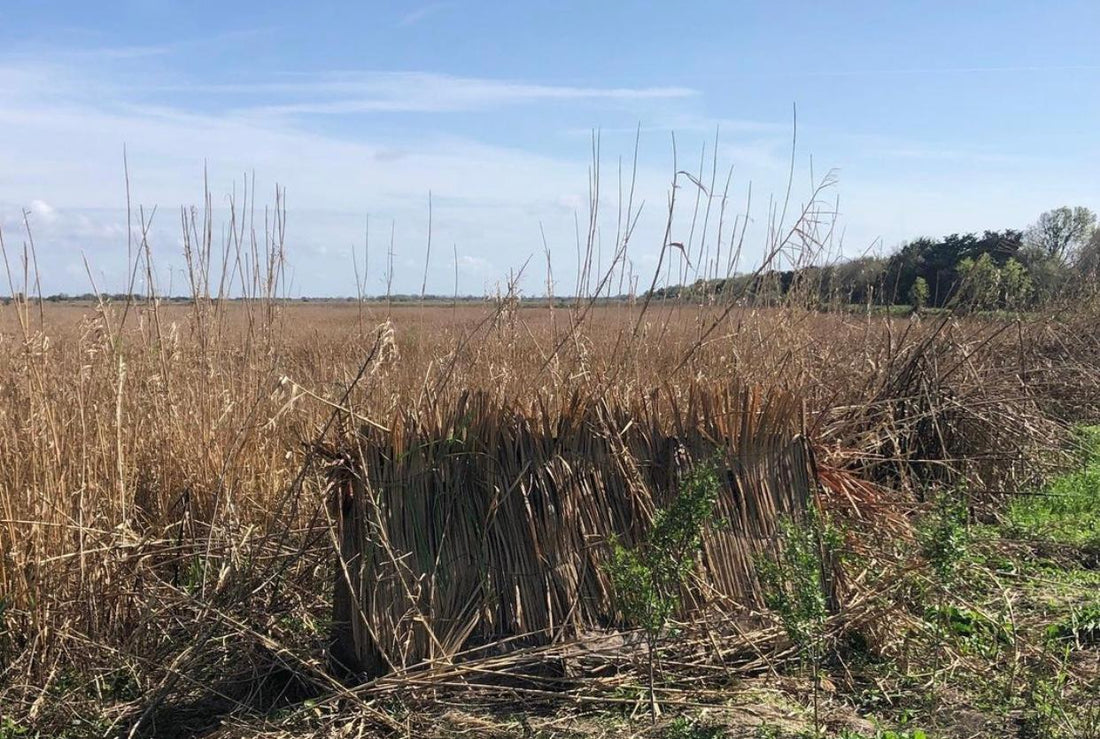 8' Panel/AFrame Camouflage Blind Kit ( FallBlend is temporarily sold